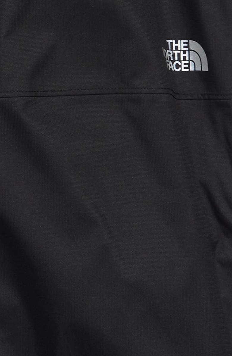 The North Face Freedom Waterproof Insulated Pants, Alternate, color, 