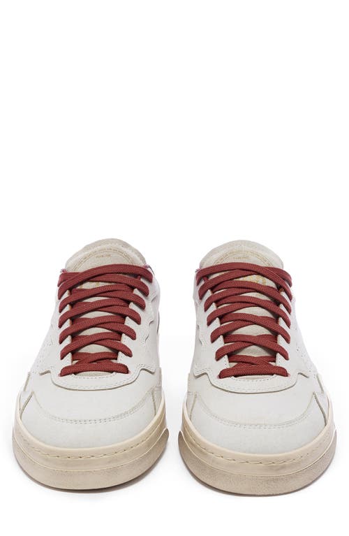P448 Bali Sneaker In Place