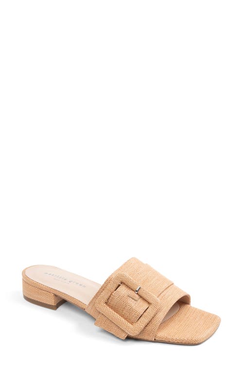 Patricia Green Bali Slide Sandal In Natural Raffia