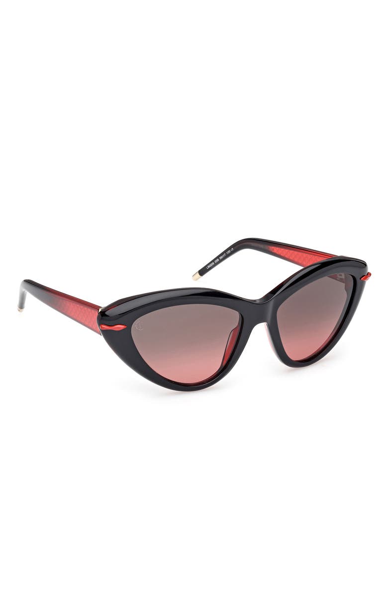Christian Louboutin 56mm Cat Eye Sunglasses, Alternate, color, 