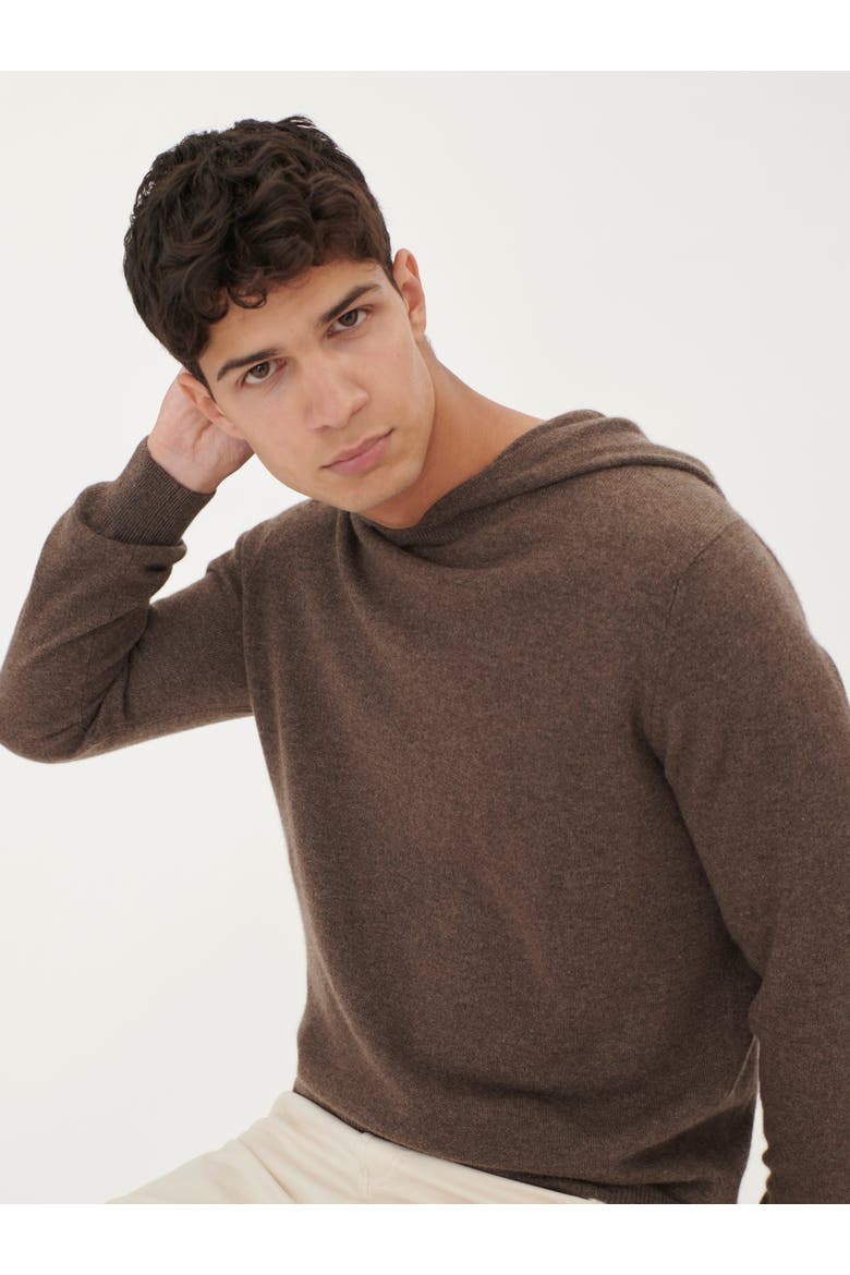 Basic Hoodie, Alternate, color, cocoa