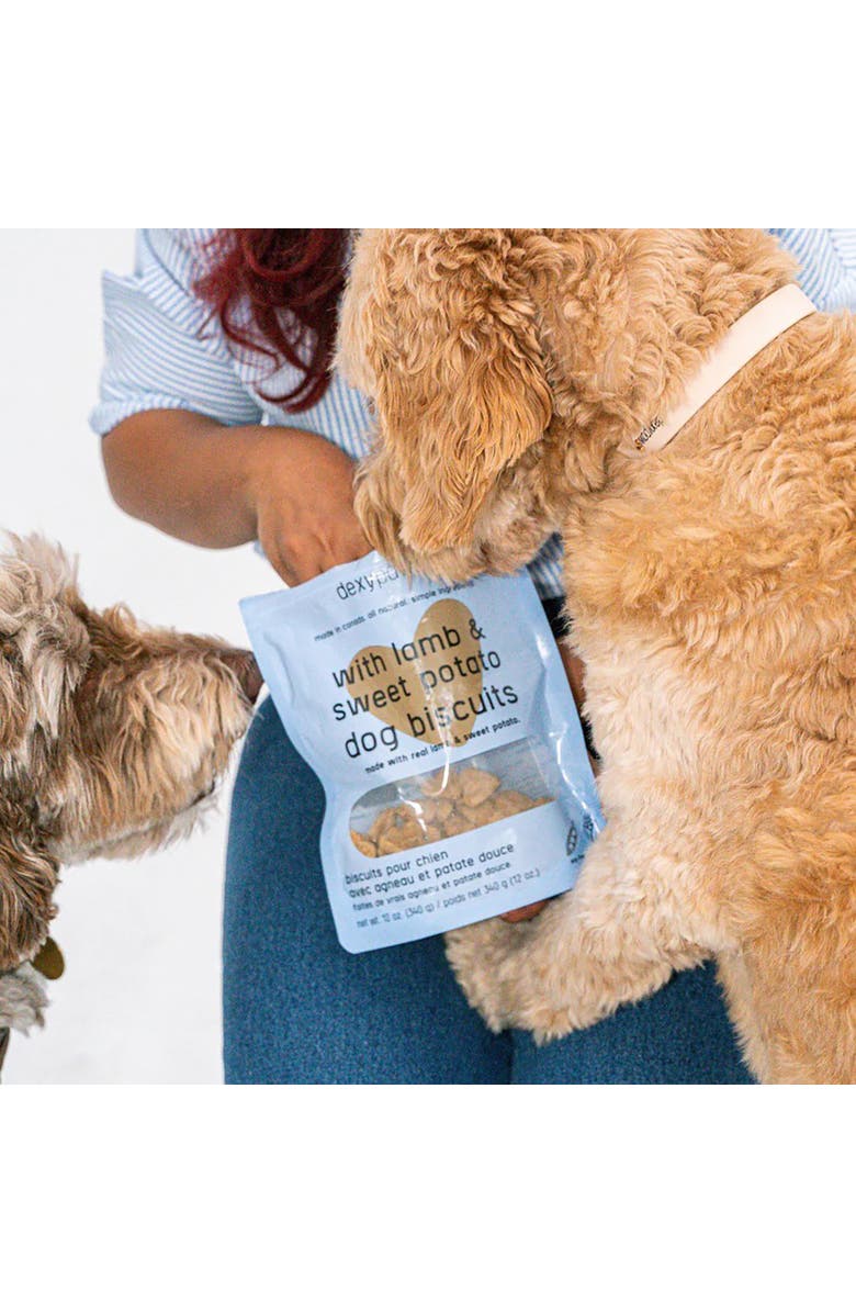 Dexypaws Lamb & Sweet Potato Dog Biscuits 12oz, Alternate, color, 