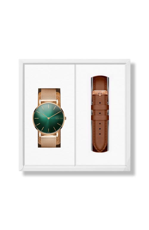Solios Watches The Rainforest Classic Bundle | Green Dial