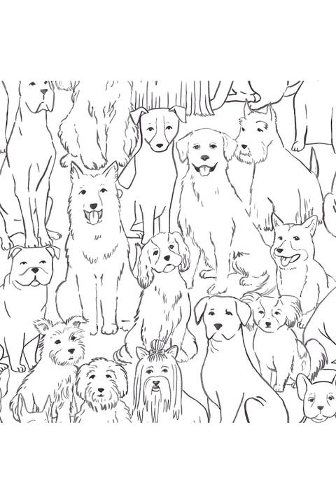 Black & White Paws On Peel & Stick Wallpaper