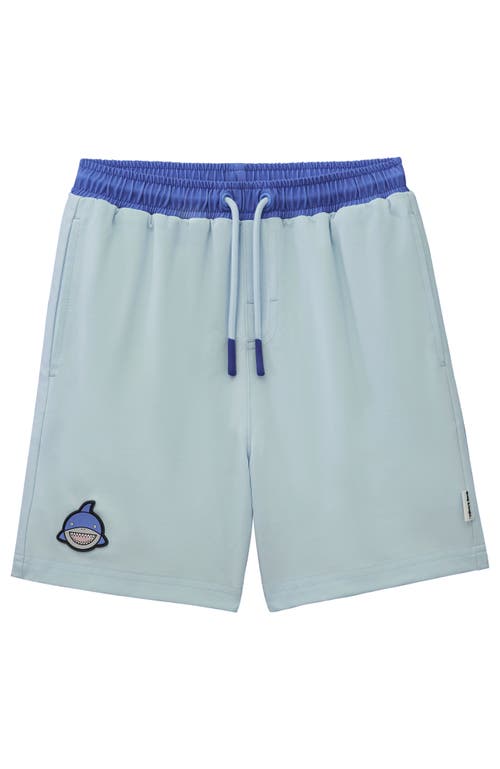 Roarsome Reef Swim Trunk In Blue