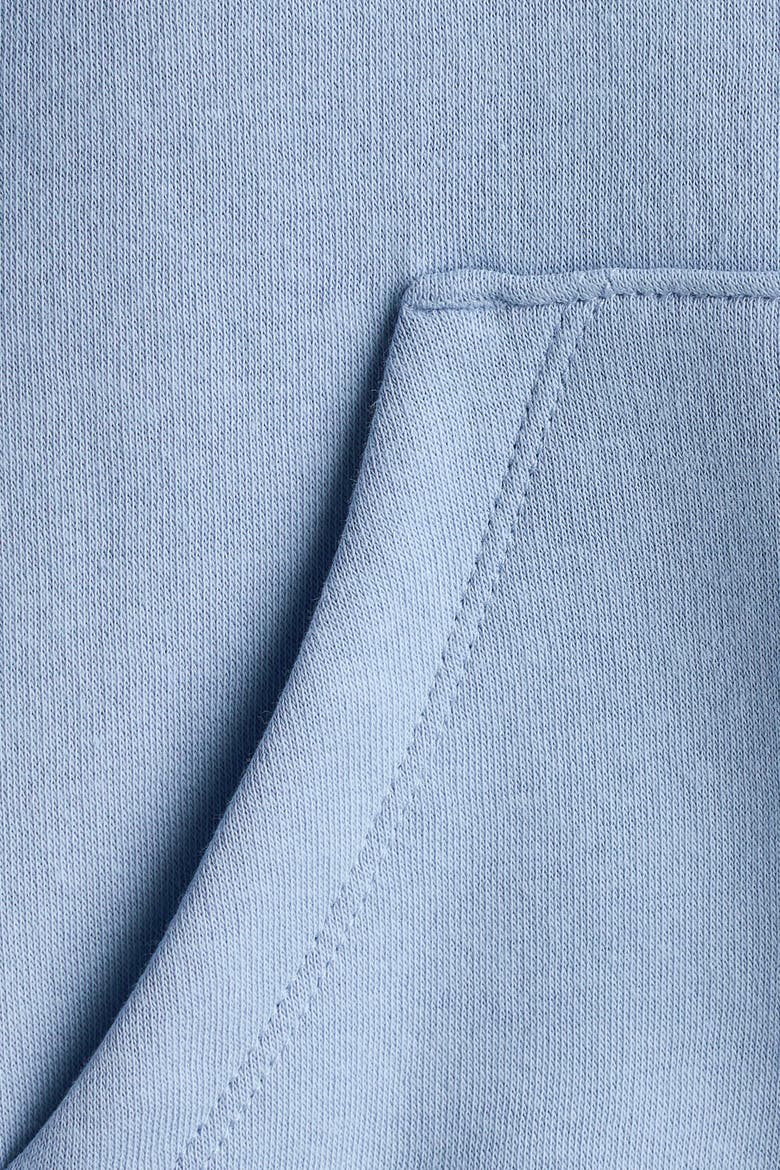 Brushed-Inside Hoodie, Alternate, color, Dusty blue