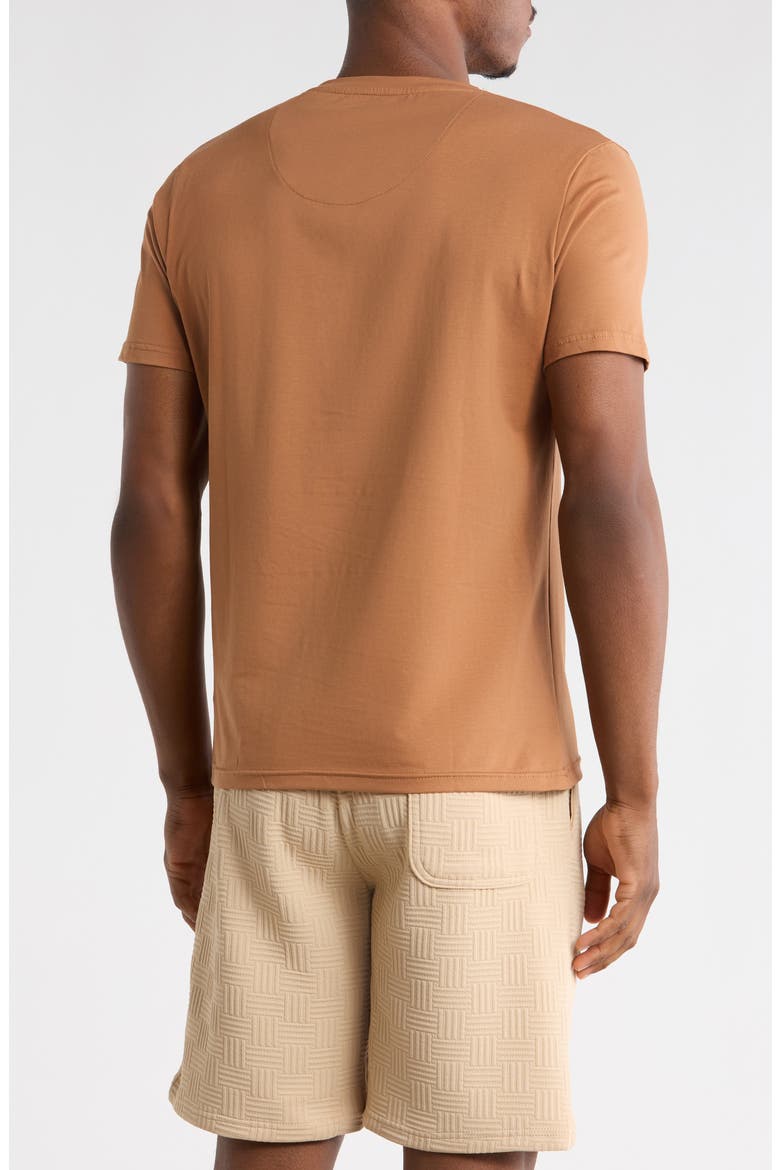 Solid V-Neck T-Shirt, Alternate, color, MOCHA