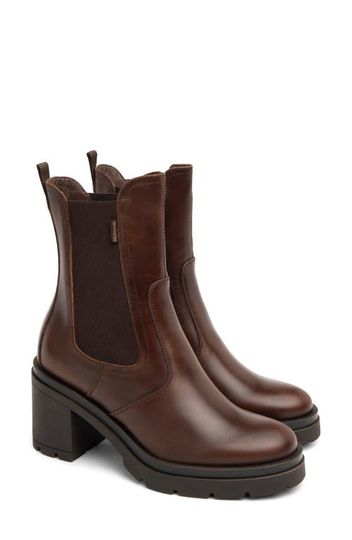 Nerogiardini Platform Chelsea Boot In Brown