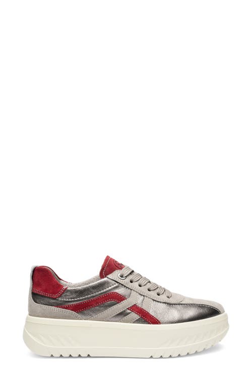 Ara Mint Platform Sneaker In Multi