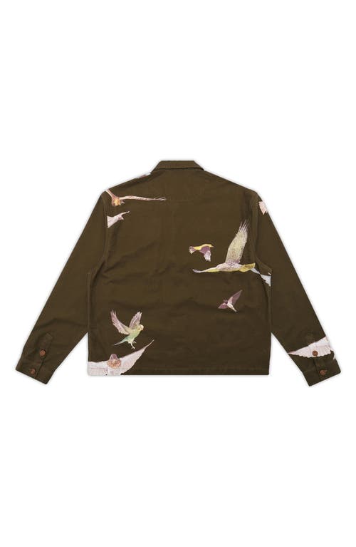 Students Windmill Chore Jacket In Green