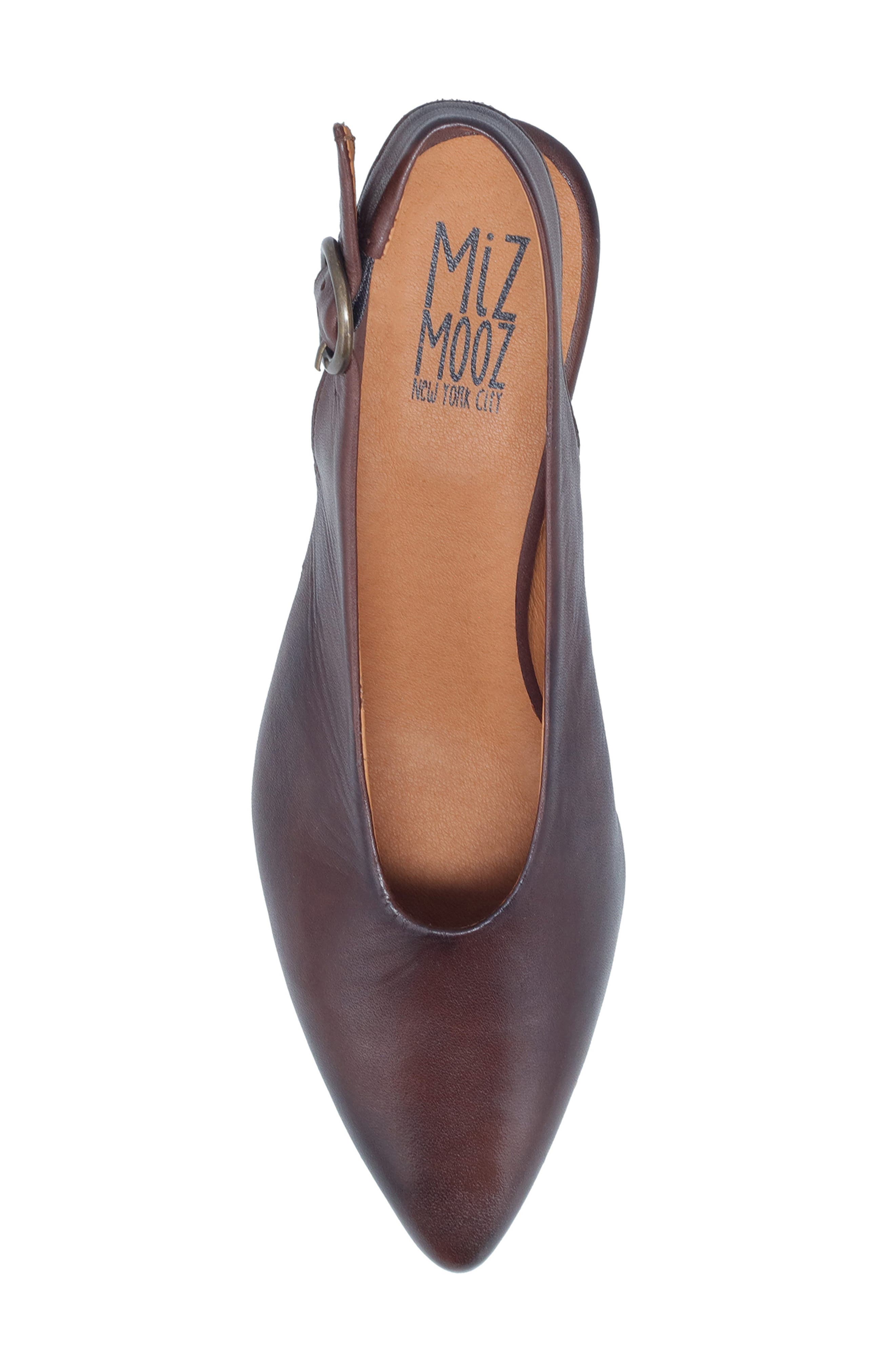 Haven Slingback Pointed Toe Pump, Alternate, color, BROWN