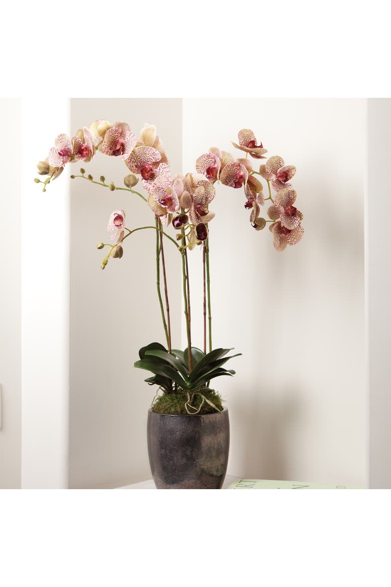 Phalaenopsis Orchid Faux (Fake) Drop-In 32", Alternate, color, Pink