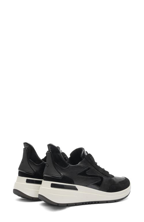 Ara Galicia Sneaker In Black