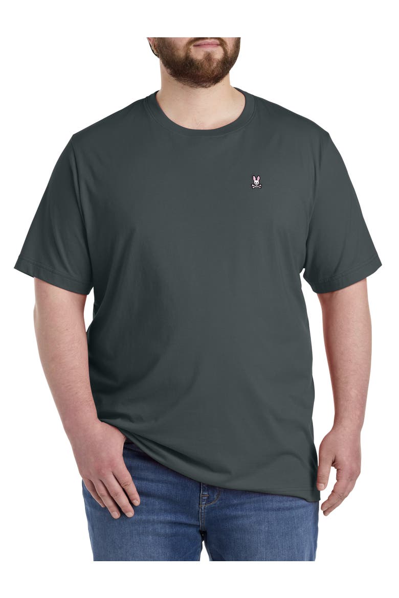 Big & Tall Crewneck T-Shirt, Main, color, URBAN CHIC