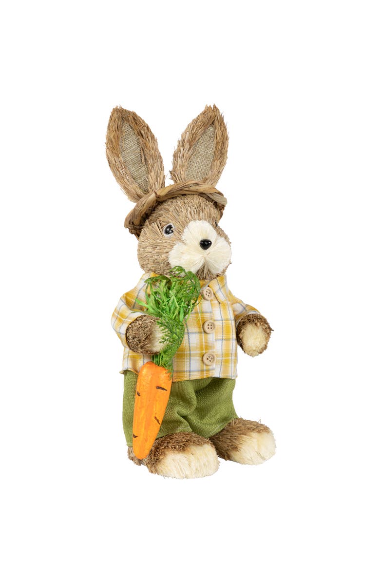 Northlight Rustic Boy Rabbit with Carrot Standing Easter Figure - 13.75" - Brown and Yellow, Alternate, color, Brown