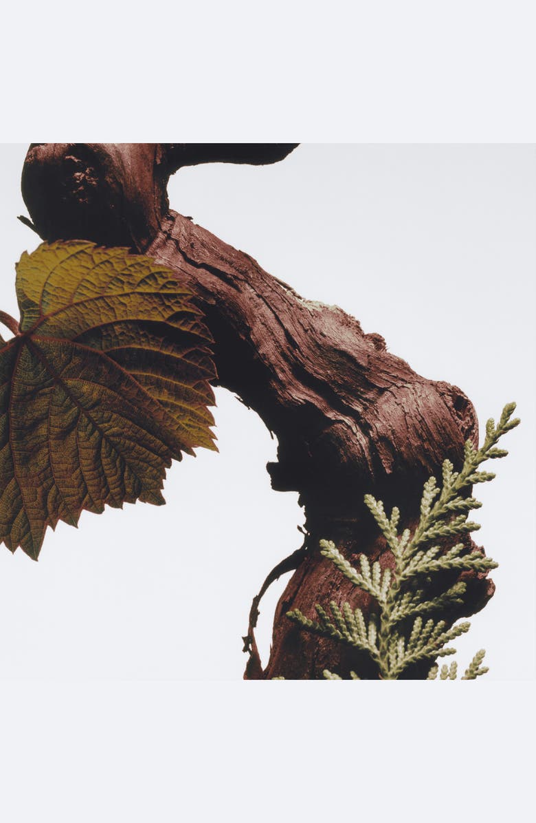 Jo Malone London<sup>™</sup> Cypress & Grapevine All Over Body Spray, Alternate, color, 