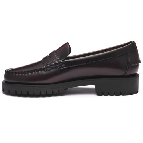 Sebago Dan Lug Penny Loafers In Brown