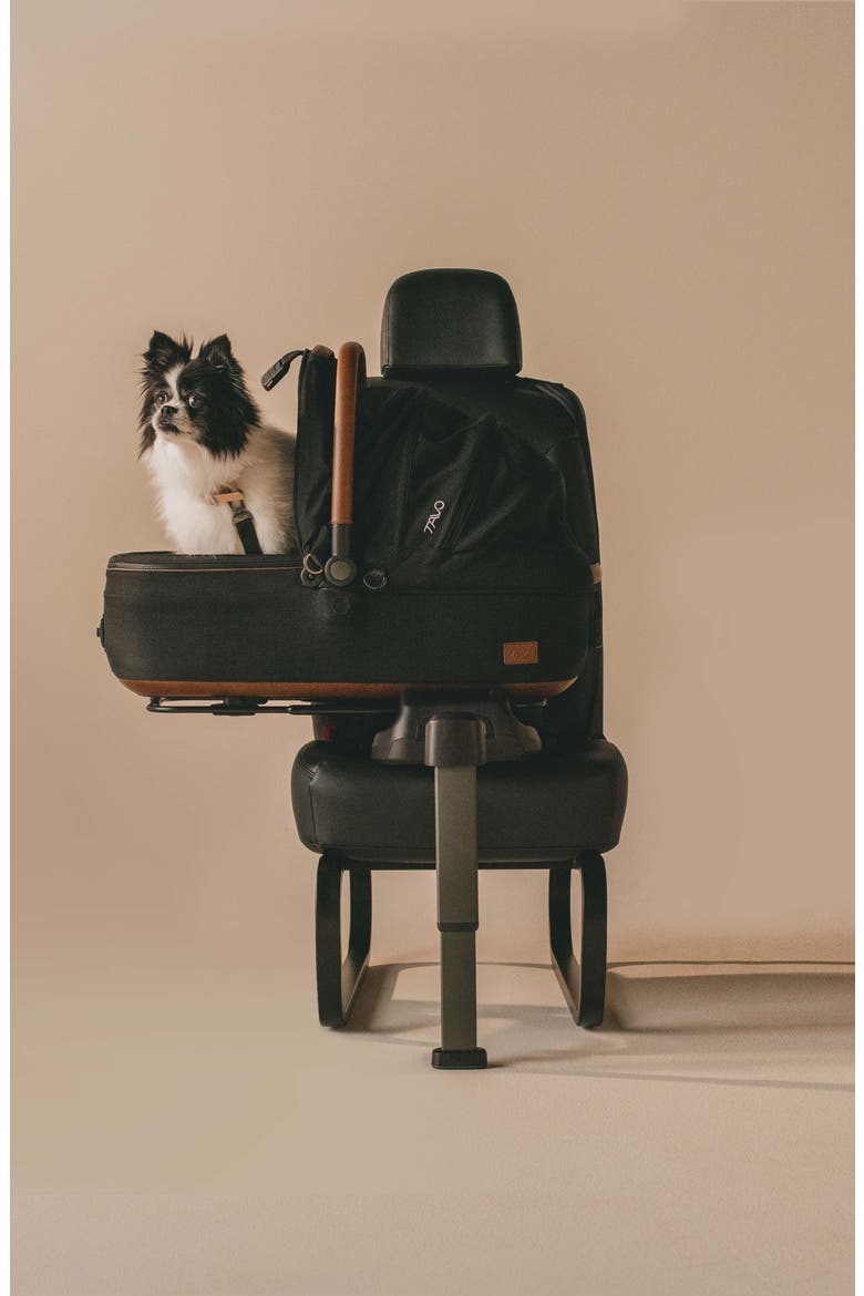 Maeve™ Medium Rigid Pet Car Seat, Alternate, color, ONYX