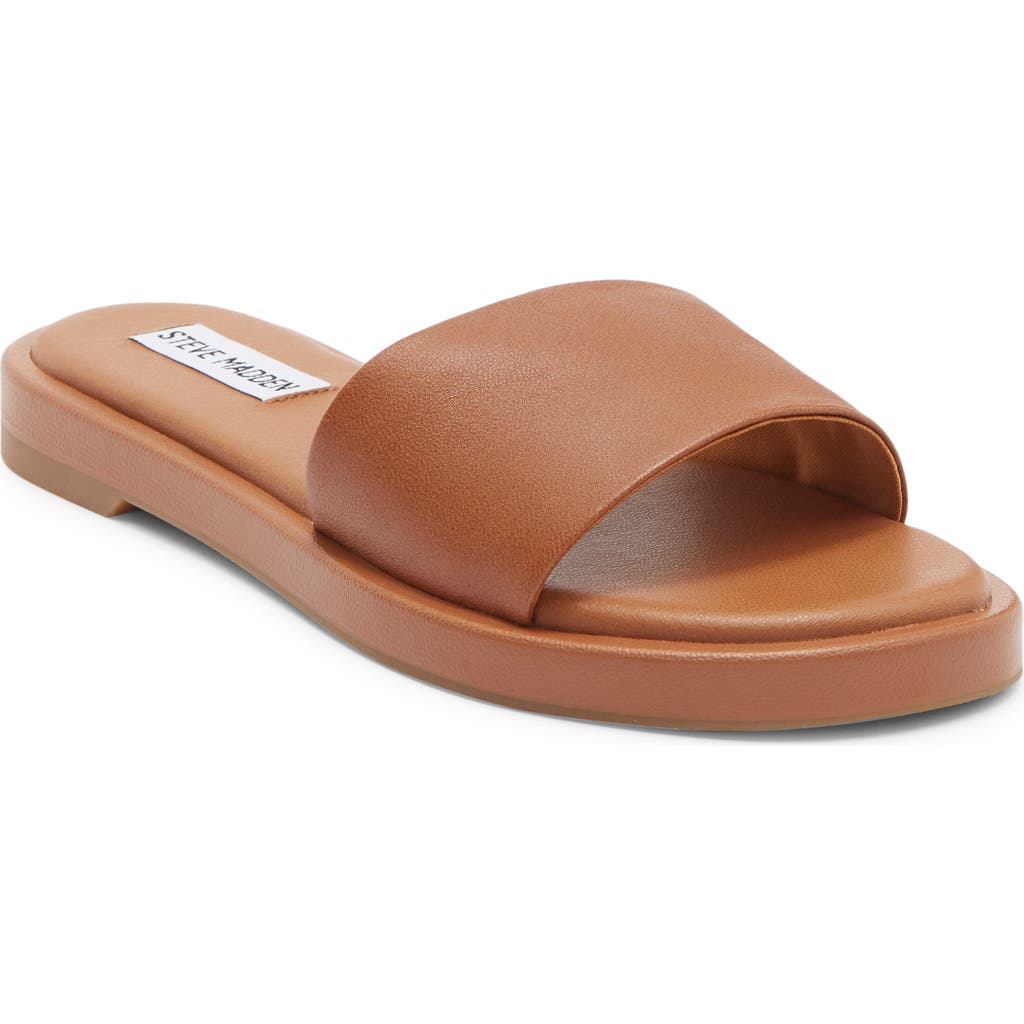 Steve Madden Holmes Slide Sandal In Multi