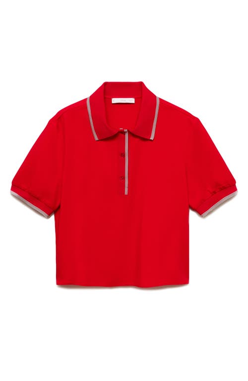 Mango Contrast Trim Crop Polo In Red