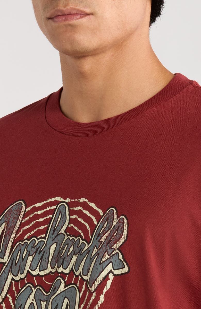 Carhartt Work In Progress Chedda Short Sleeve Graphic T-Shirt, Alternate, color, Dark Brick Heavy Stone Wash