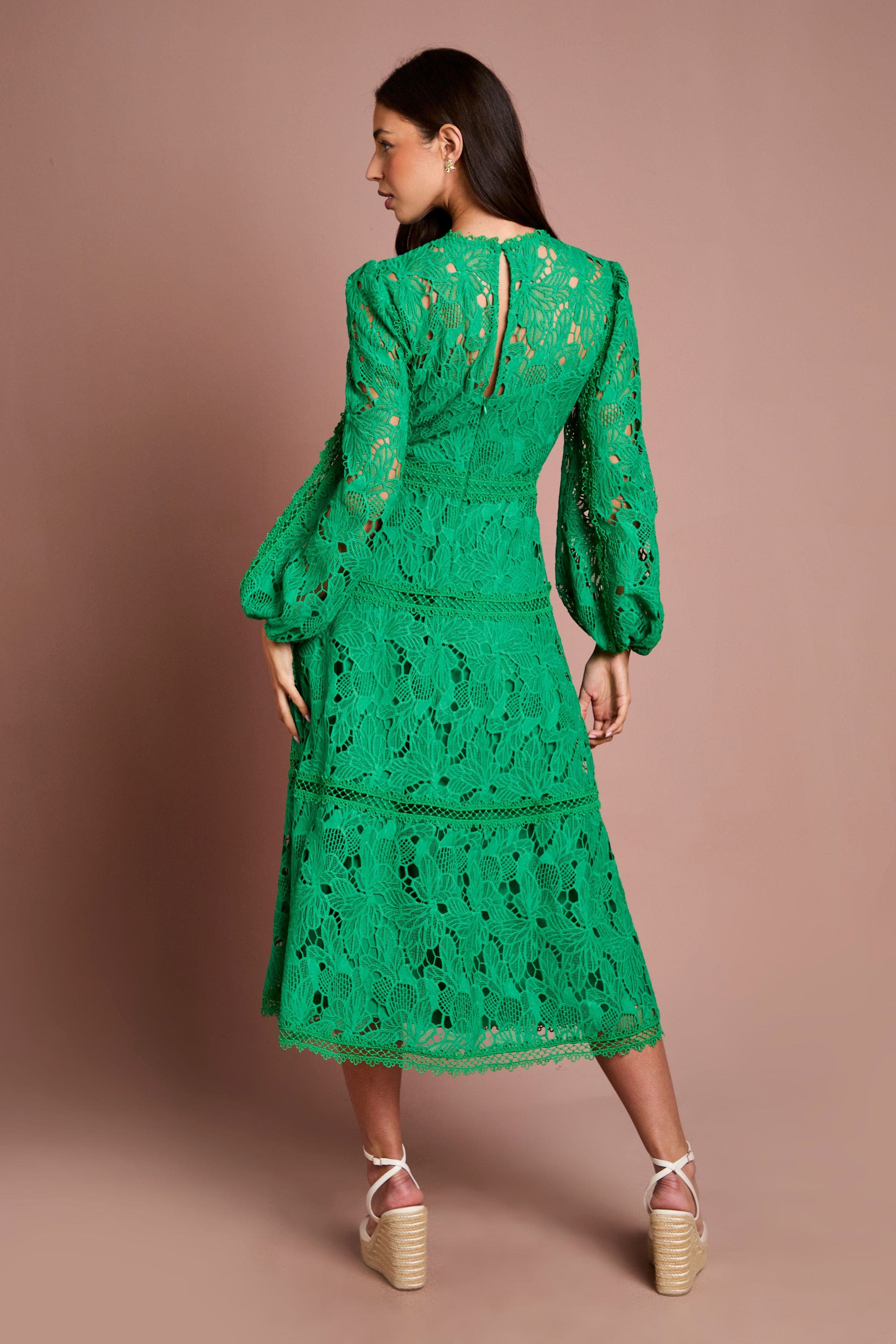 long sleeve lace panel dress Lace Panel Long Sleeve Midi Dress (Women)