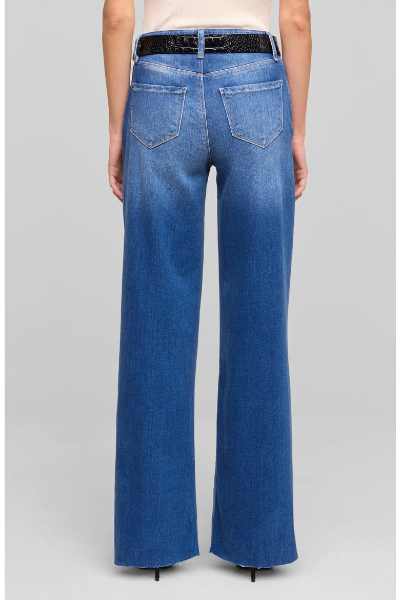 Scottie High Rise Wide Leg Jeans, Alternate, color, HASTING