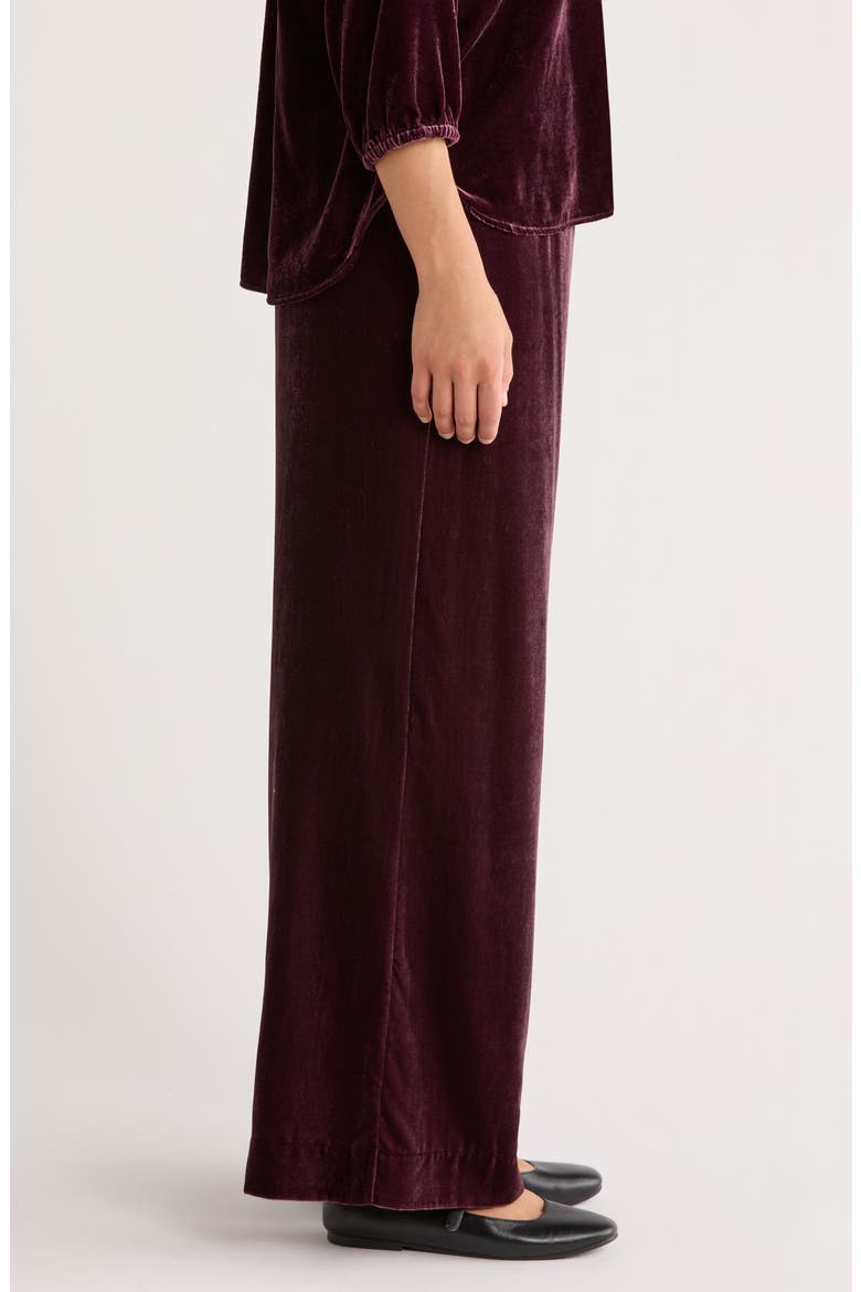 Bella Velvet Drawstring Pants, Alternate, color, FIG