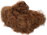 ZIGI Fauna Genuine Shearling Platform Clog Slipper