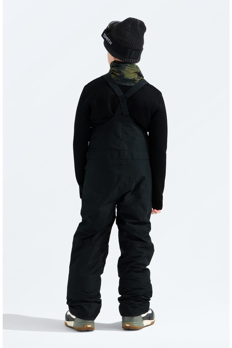 Kids' Freedom Waterproof Insulated Recycled Polyester Snow Bib, Alternate, color, TNF BLACK