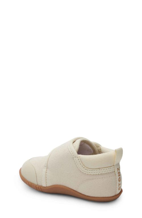 Stonz Cruiser Sneaker In Oatmeal