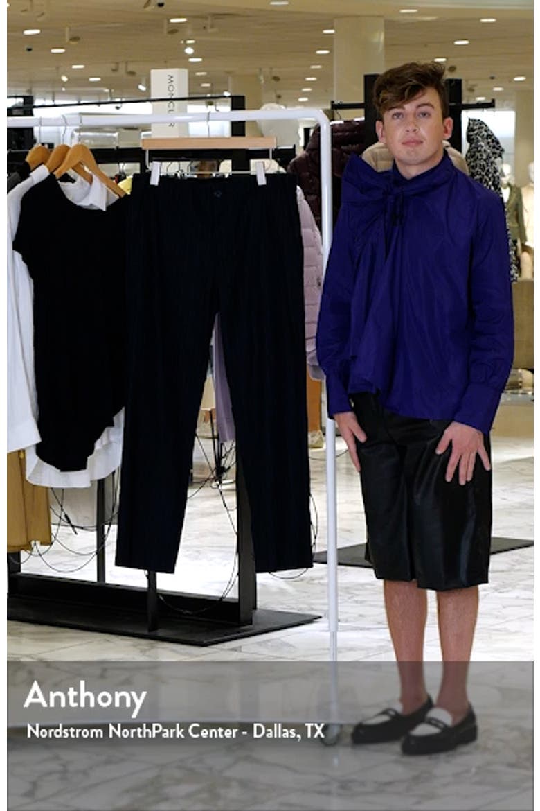Pinstripe Virgin Wool Blend Pants video