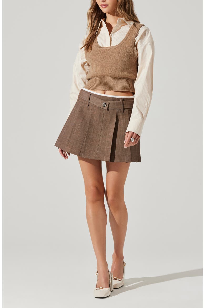 Eirwen Pleat Miniskirt, Alternate, color, BROWN
