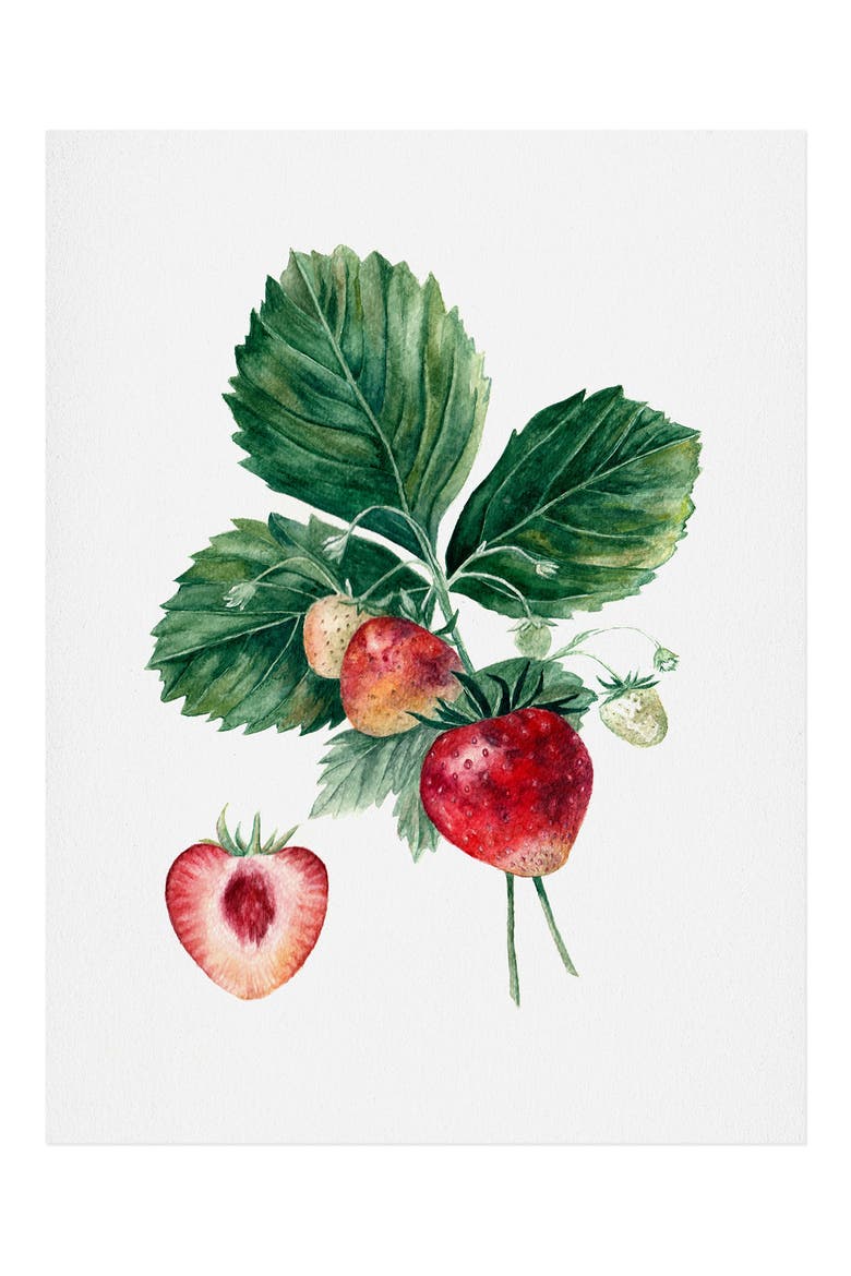 Anna Shell Strawberry Botanica Art Print, Main, color, MULTI