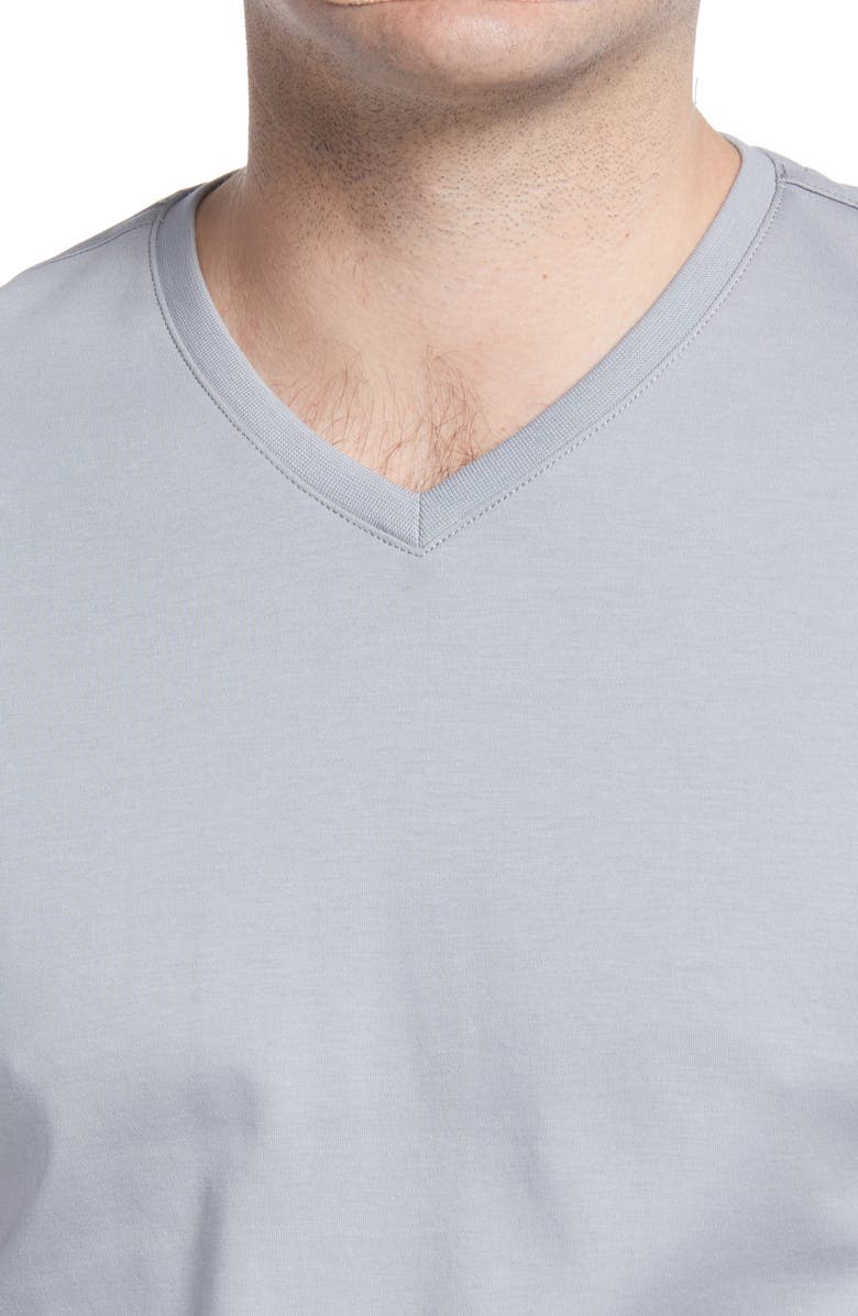Robert Barakett Georgia Regular Fit V-Neck T-Shirt, Alternate, color, Monument G