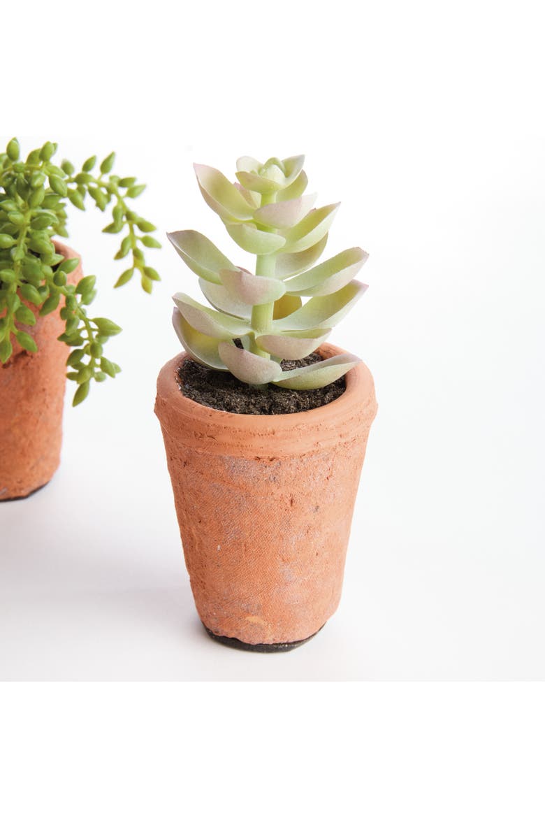 Potted Green Ceramic Succulents 8.5" Set of 6, Alternate, color, Green