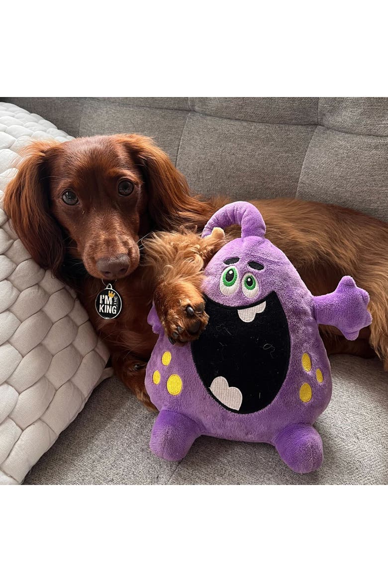 Dog Toy, Alternate, color, Purple