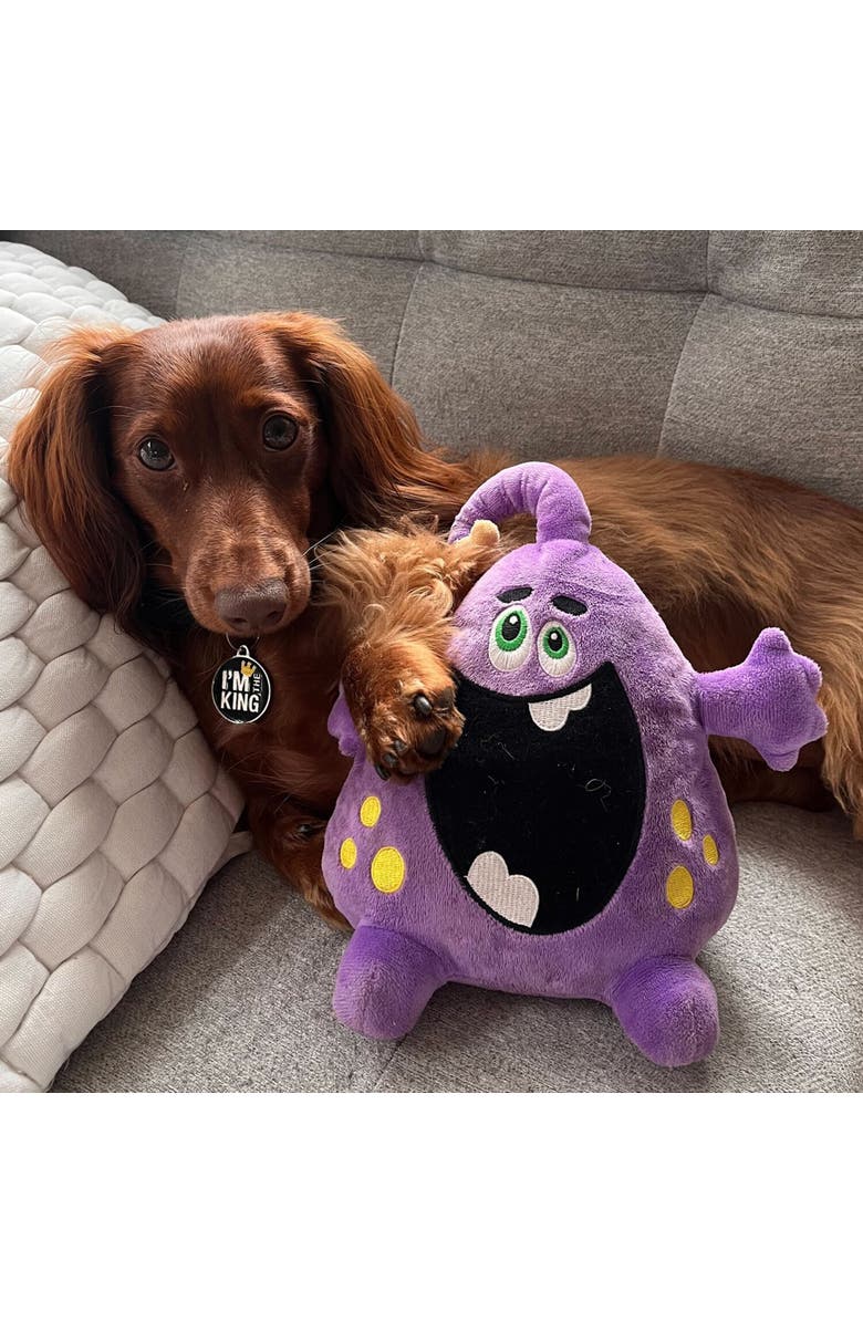 SnugArooz Dog Toy, Alternate, color, Purple