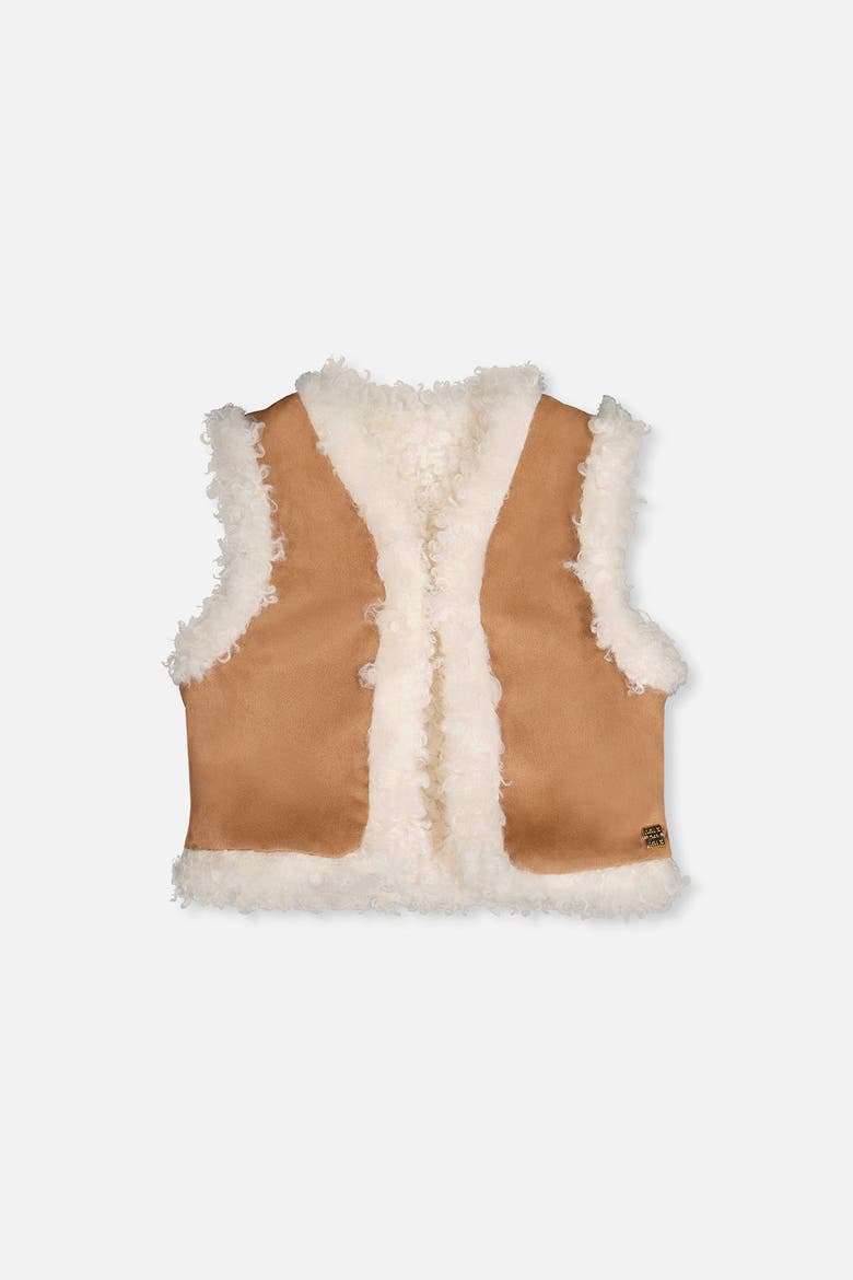 Reversible Suede Fleece Trim Vest, Main, color, Brown