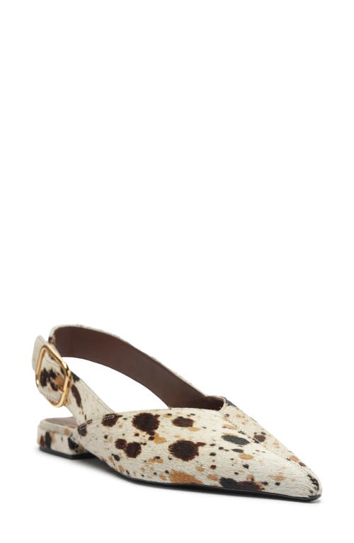Arezzo Fallon Pointed Toe Slingback Flat