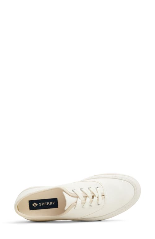 SPERRY TOP-SIDER® SPERRY CANDY LOW TOP SNEAKER