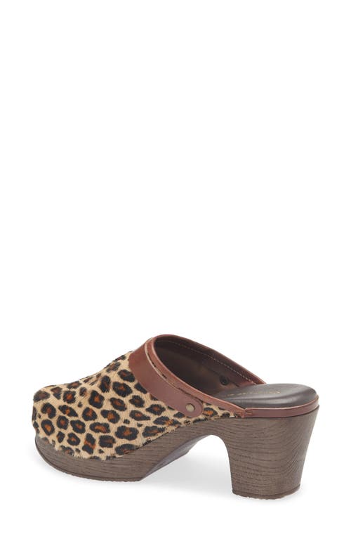 Chocolat Blu Faro Genuine Calf Hair Platform Mule In Multi