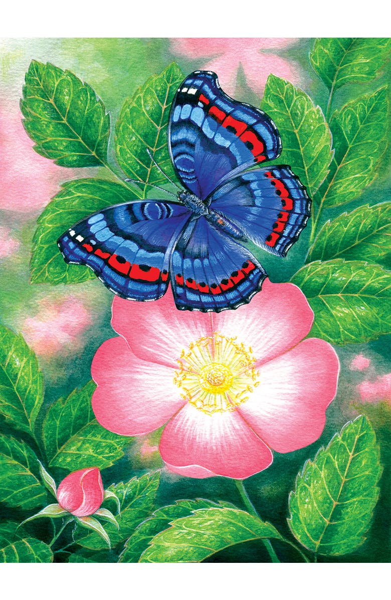 Sunsout Blue Butterfly 1000 piece Jigsaw Puzzle for Adults, Alternate, color, Multicolor