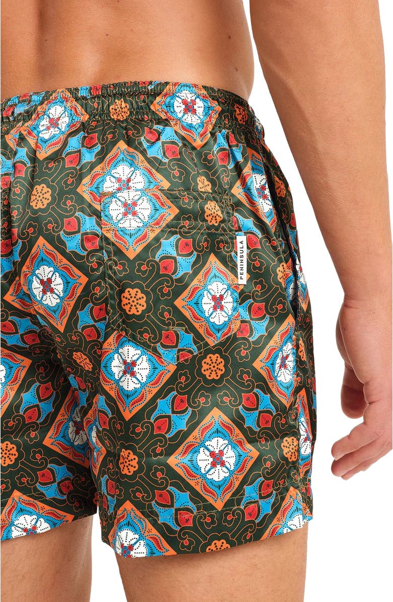 Peninsula Swimwear Positano Swim Shorts, Alternate, color, Multicolor