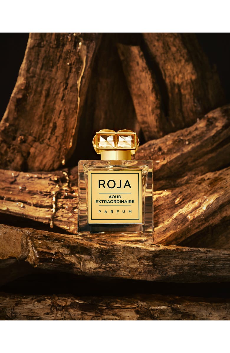 ROJA Aoud Extraordinaire Parfum, Alternate, color, 