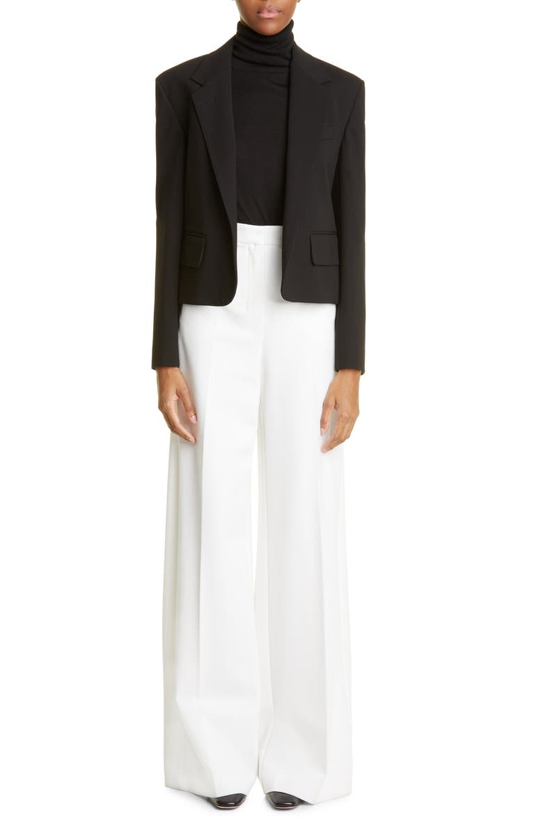 Max Mara Oreste Crop Jersey Jacket, Alternate, color,