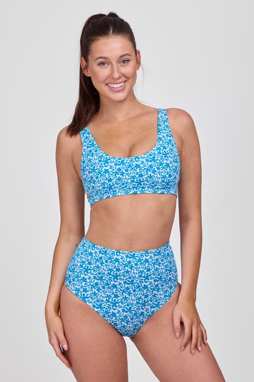 Shop Jolyn Janna Bikini Bottom