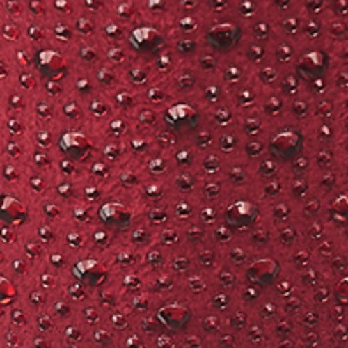 True Religion Women's Terry Rhinestone Boot In Red