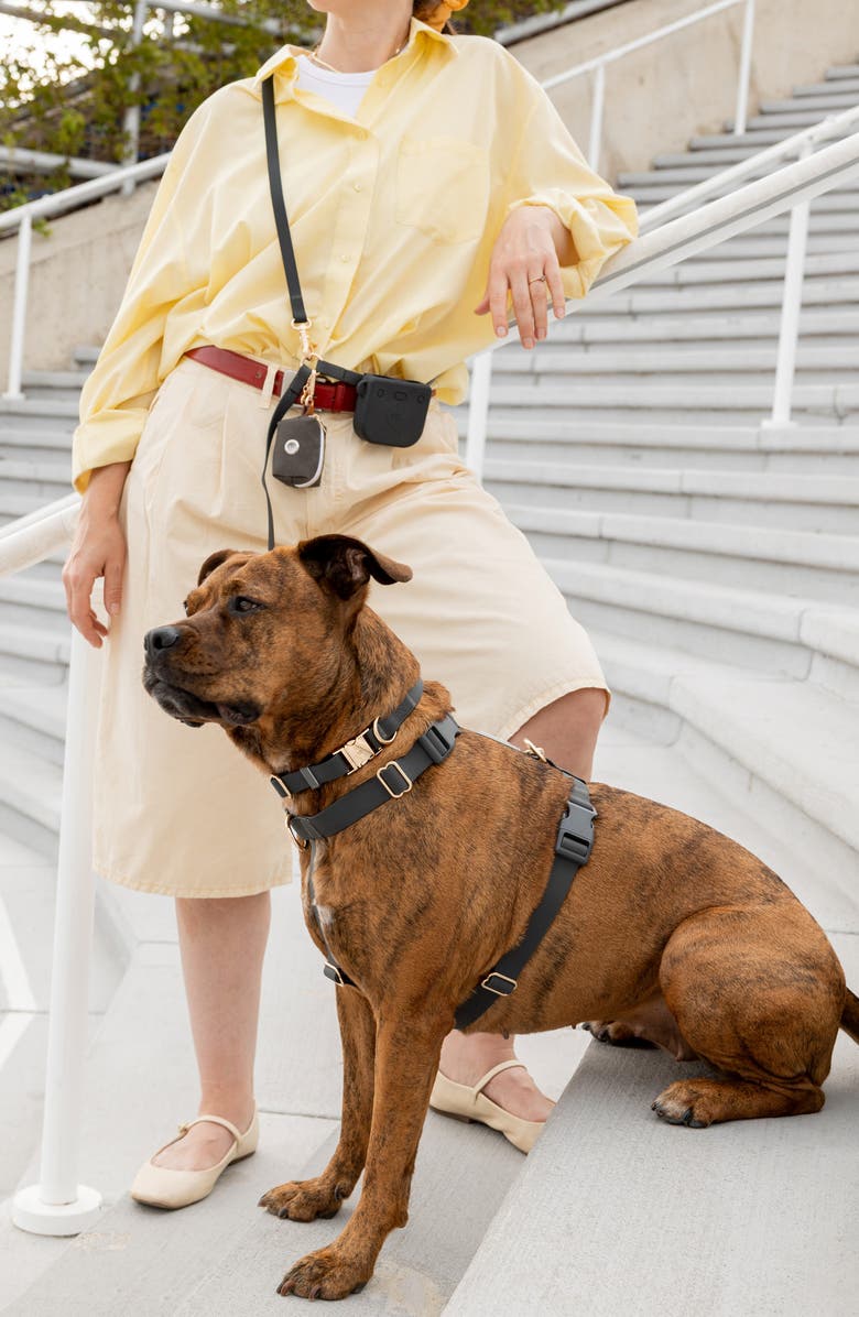 SUNNY TAILS 4-in-1 Convertible Hands Free Leash, Alternate, color, Ember Black
