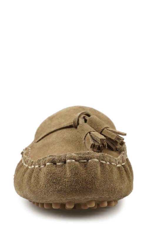 National Comfort Tal Tassel Mule In Taupe Suede